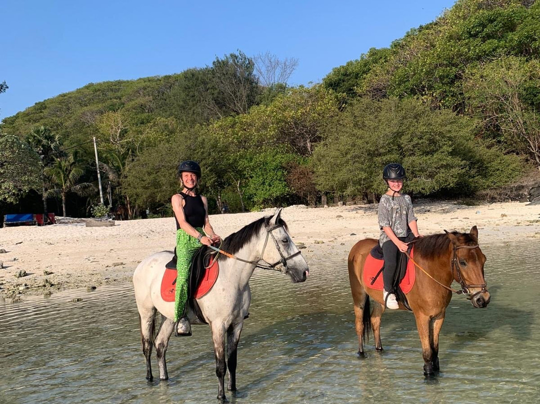 Stud Horse Riding and Rescue-吉利特拉万安必去景点