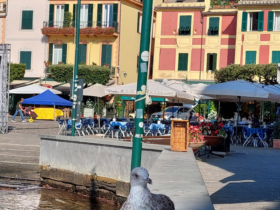 艾尔伯格那锡那里酒店主图