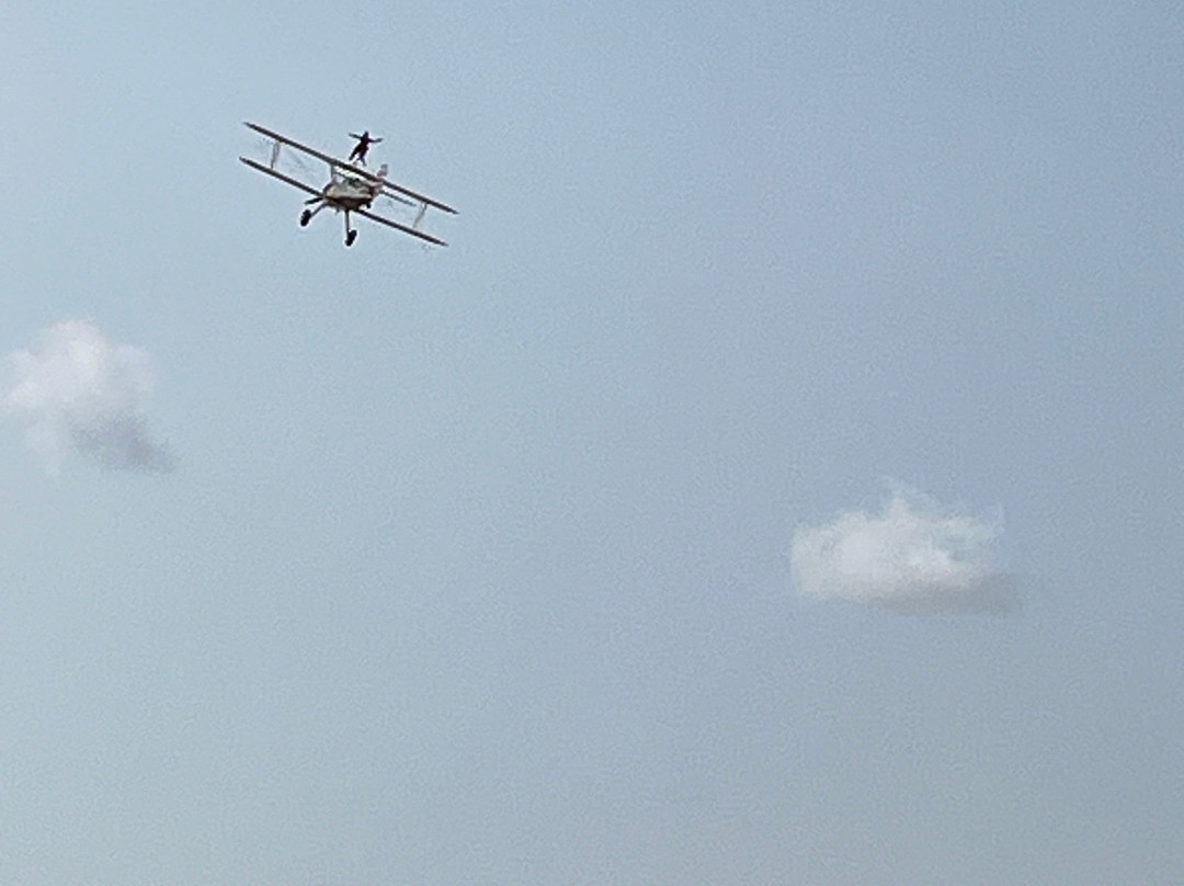 The Wing Walk Company景点图片