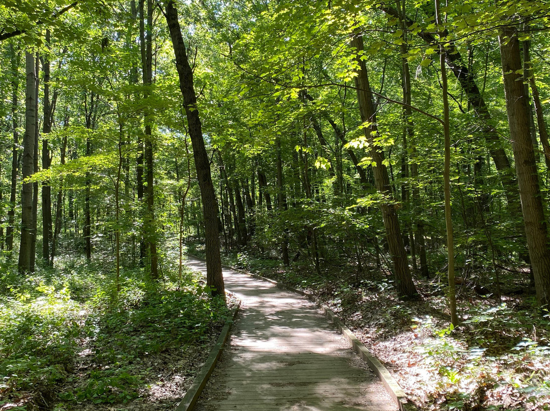 Wildwood Metropark-托莱多必去景点
