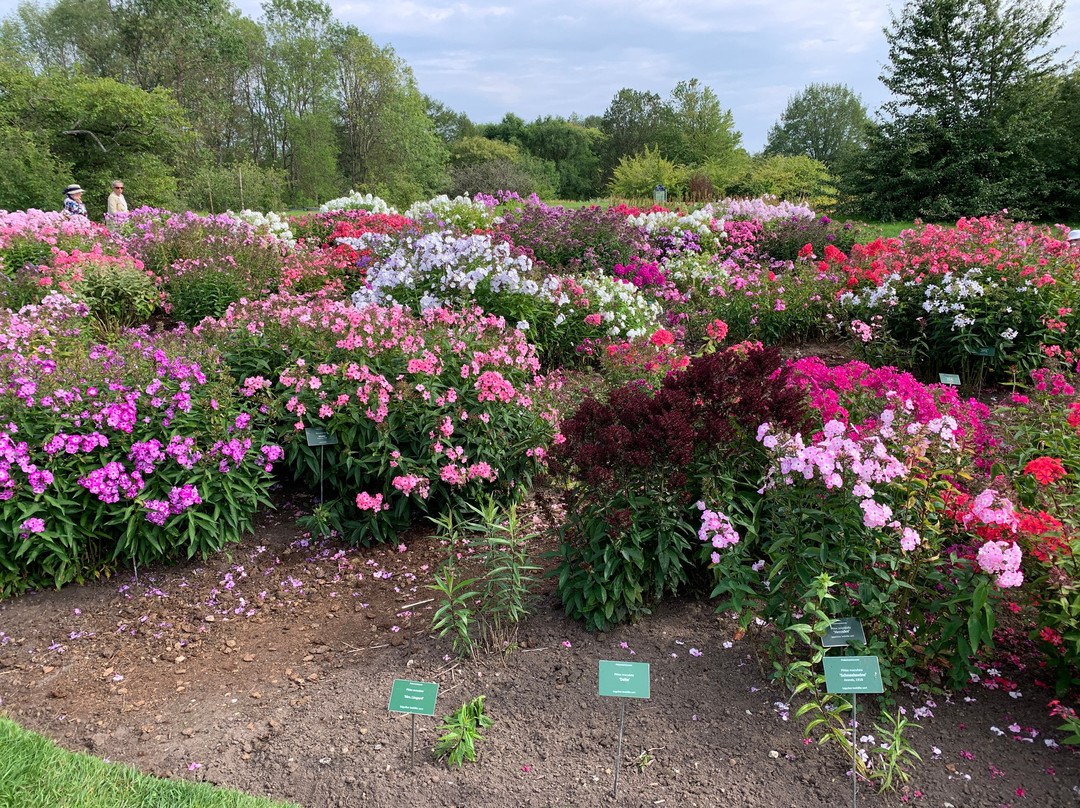 Tallinn Botanic Garden-塔林必去景点