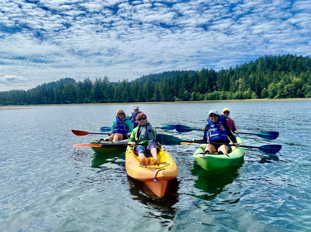 Safari Town Surf Shop-林肯城必去景点