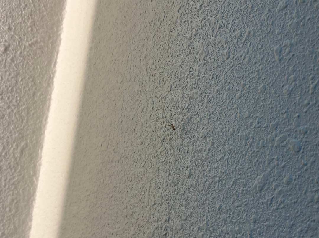 Holiday Inn Express Milwaukee-West Medical Center by IHG主图