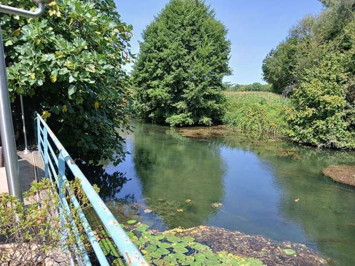 Embarcadere Cardinaud - Marais poitevin景点图片