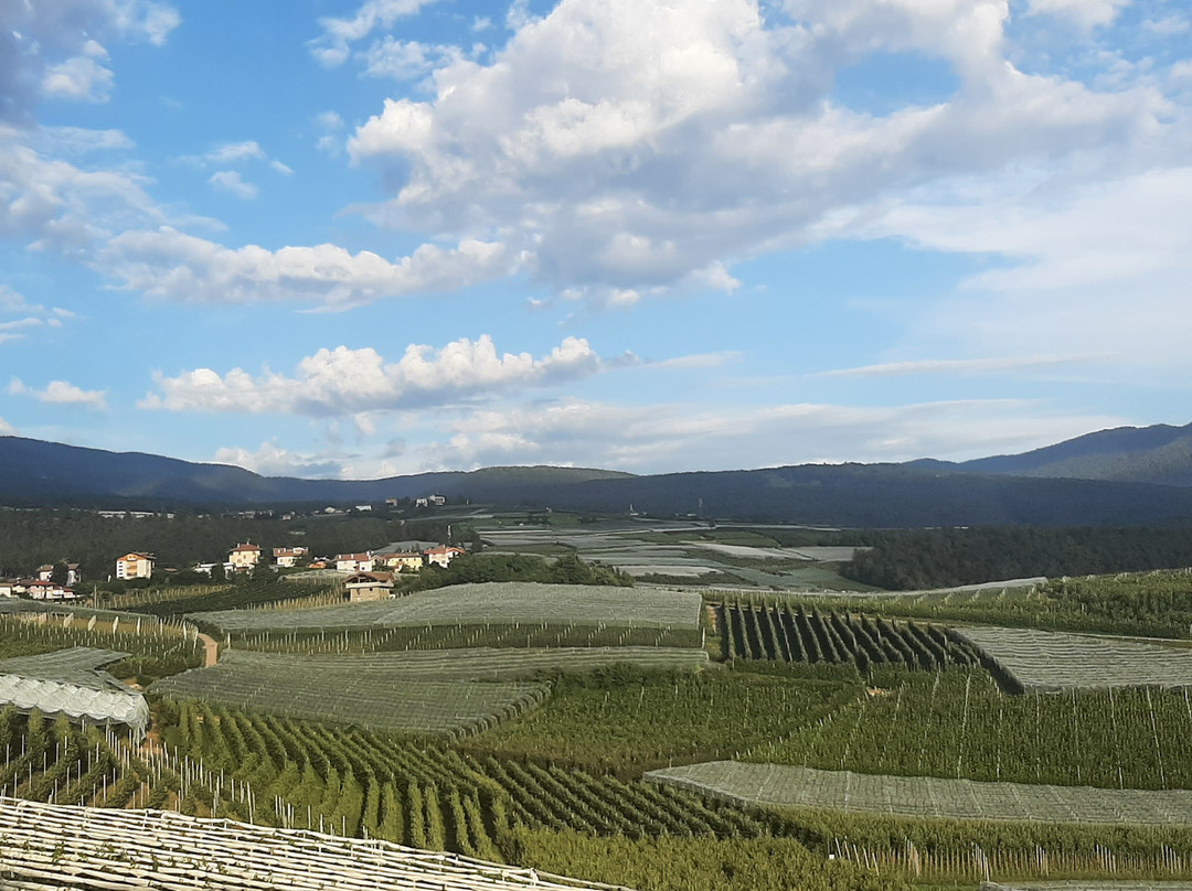 Agritur Casa Fabri主图
