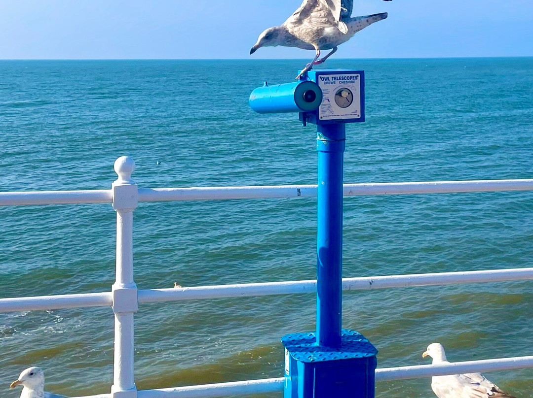 Aberystwyth North Beach景点图片