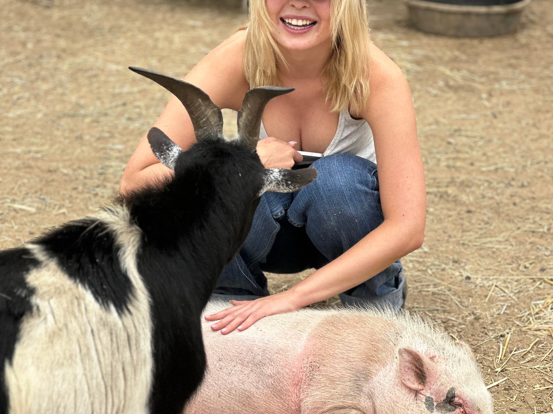 Love Always Sanctuary-洛杉矶必去景点