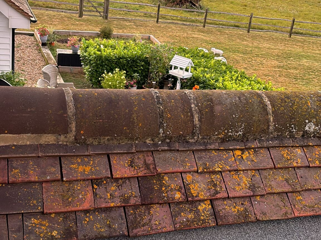 Hill House in Seaford主图