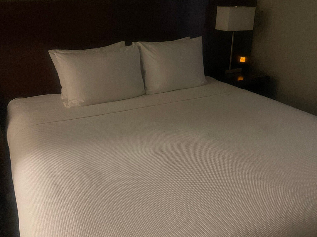 Hyatt Place Tijuana主图