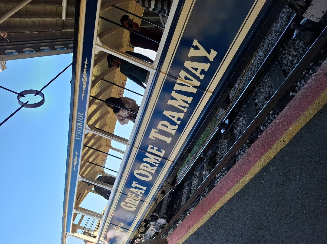 The Carmen B&B主图