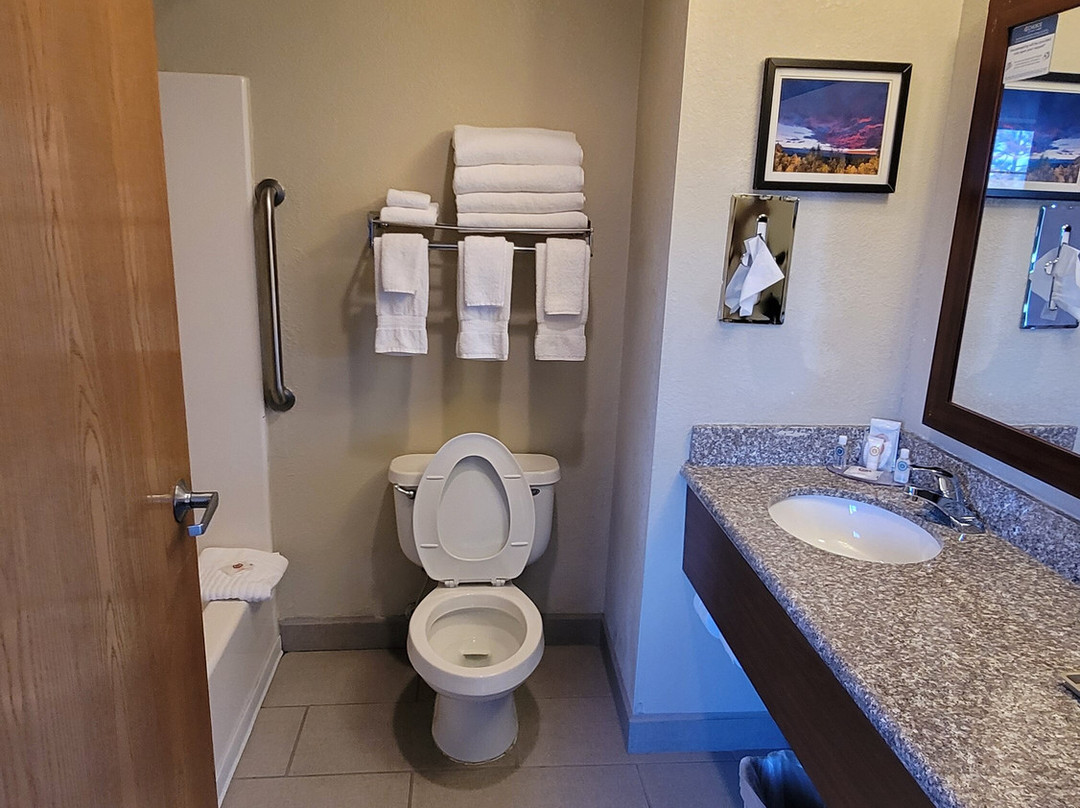 Comfort Inn & Suites - Midtown主图