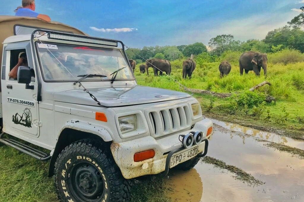 Journey Island Safari & Tours-哈巴拉娜必去景点