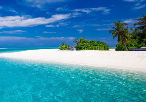 LORENZO DIZANZIBAR TOURS-米查维必去景点