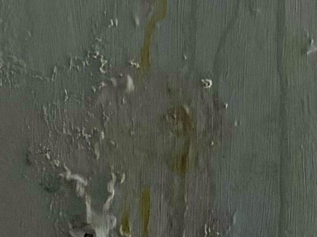 Globales Don Pedro主图