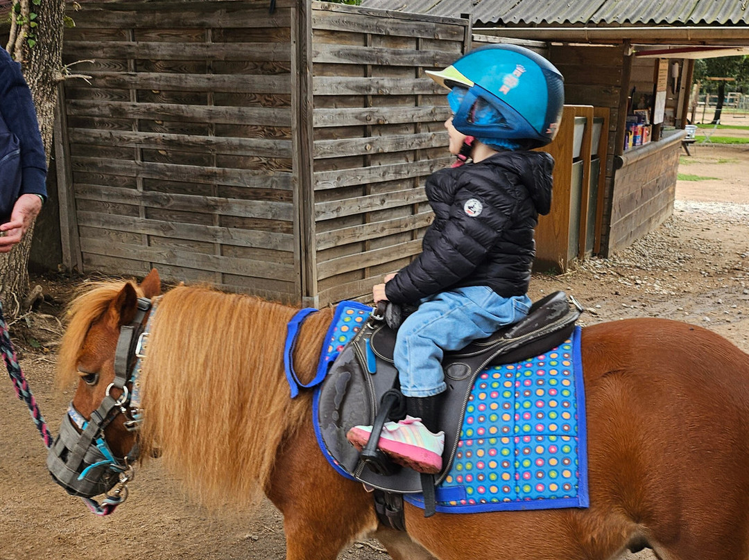 La Ferme D'idefix-Bagnols-en-Foret必去景点