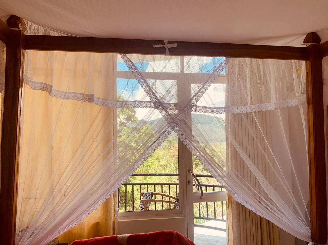 Lilly Guest Inn主图