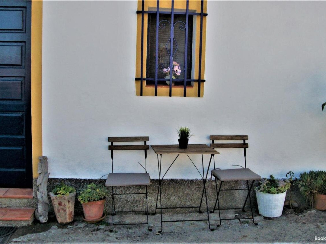 Casa Da Andorinha