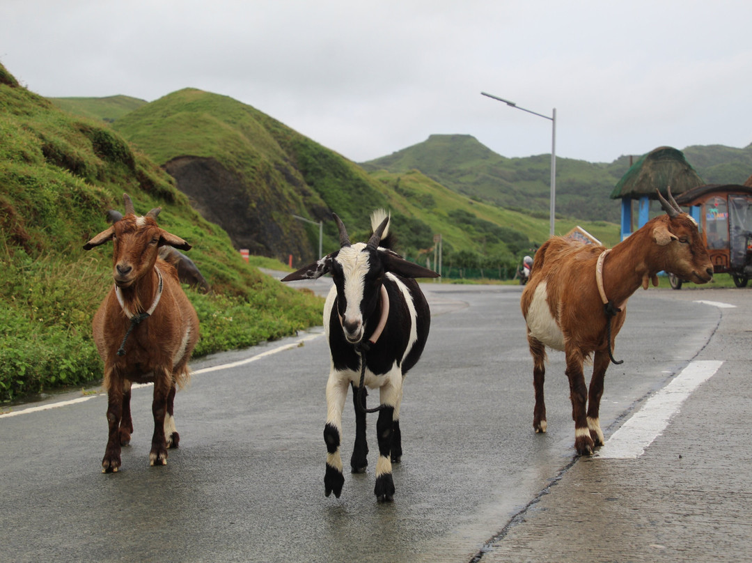 Mount Matarem-Basco必去景点