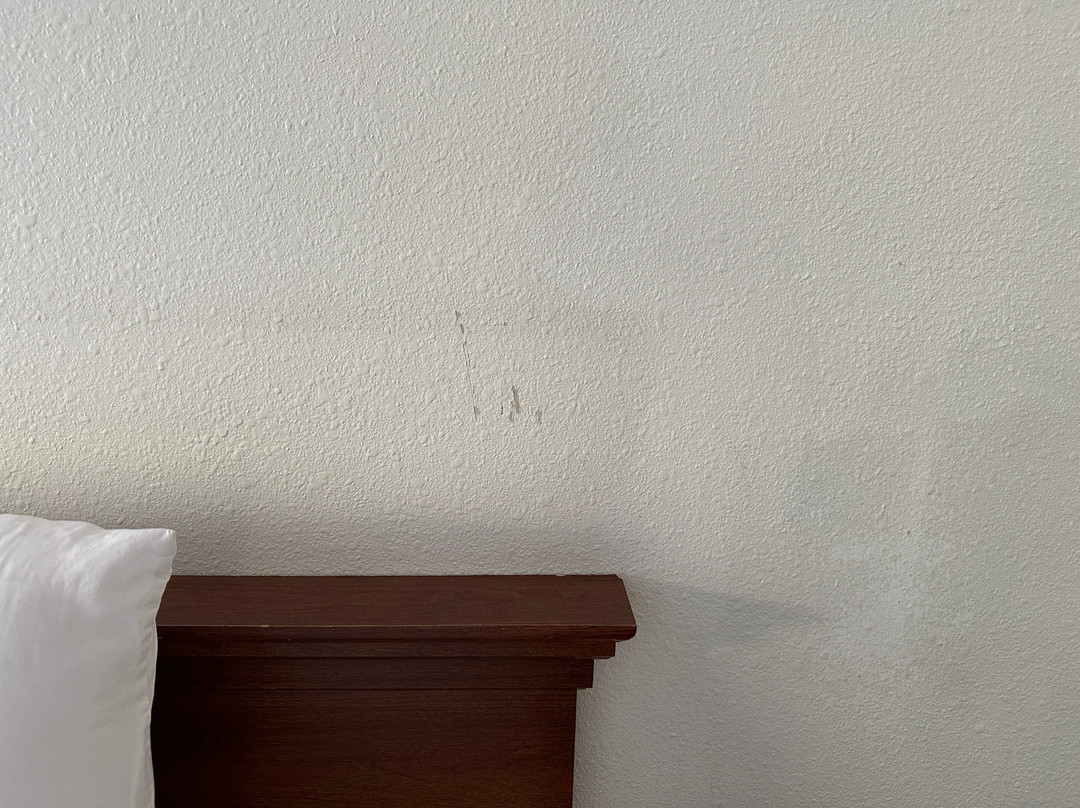 Days Inn by Wyndham Lake Point主图