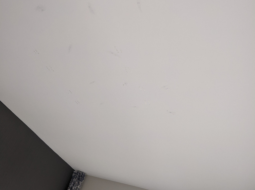 SpringHill Suites Atlanta Downtown主图