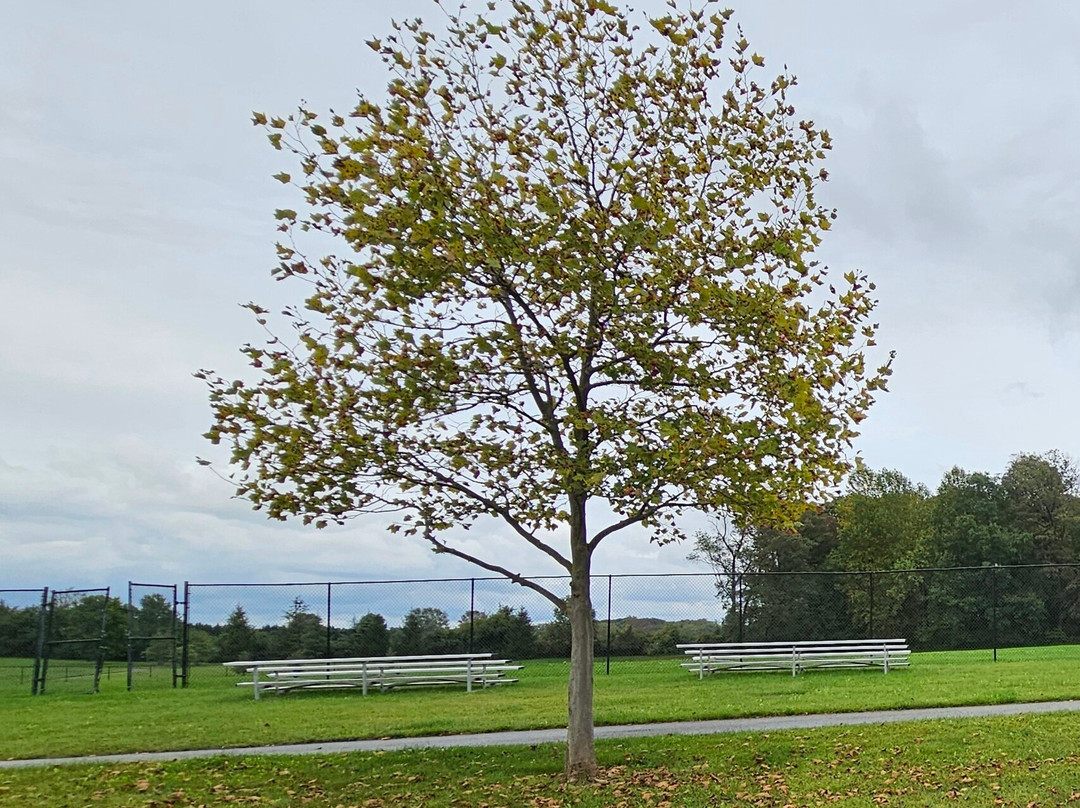 Schucks Regional Park