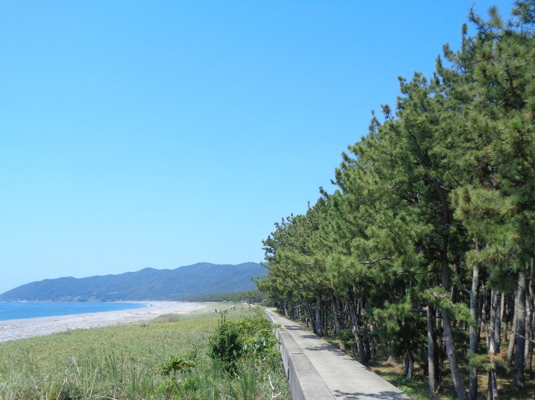Enju Kaigan Wakayama Natural Park-美滨町必去景点