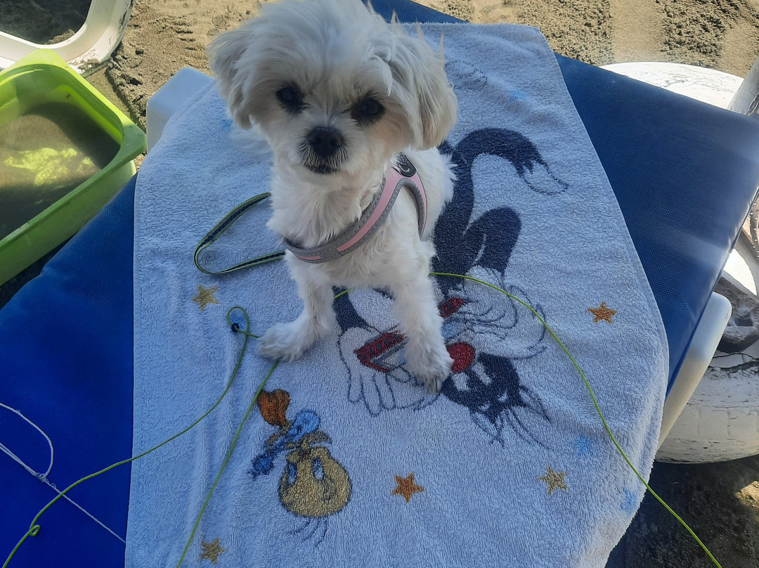 Andreas Water Sports-利马索尔必去景点