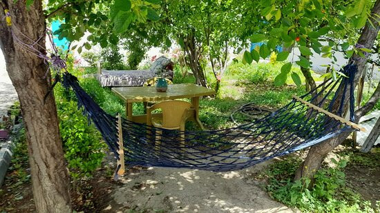 Noa Hostel And Guest House