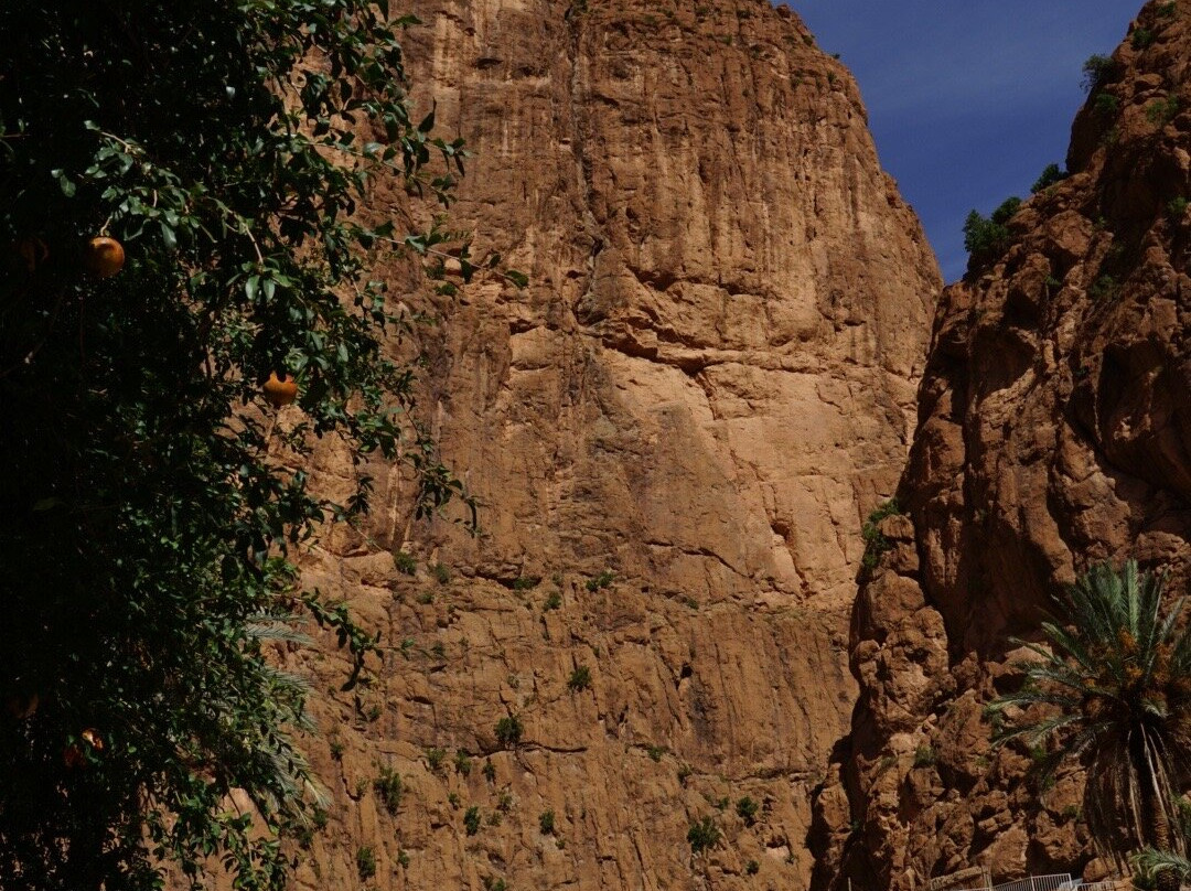 Great Travel Morocco-马拉喀什必去景点