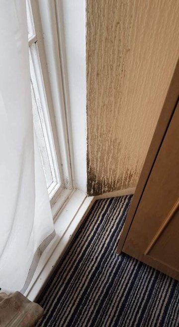 Tlh Derwent Hotel-客卧