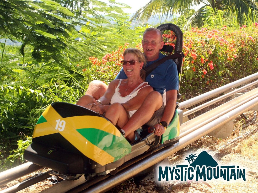 Sun Vibes Tours and Transfers-内格里尔必去景点