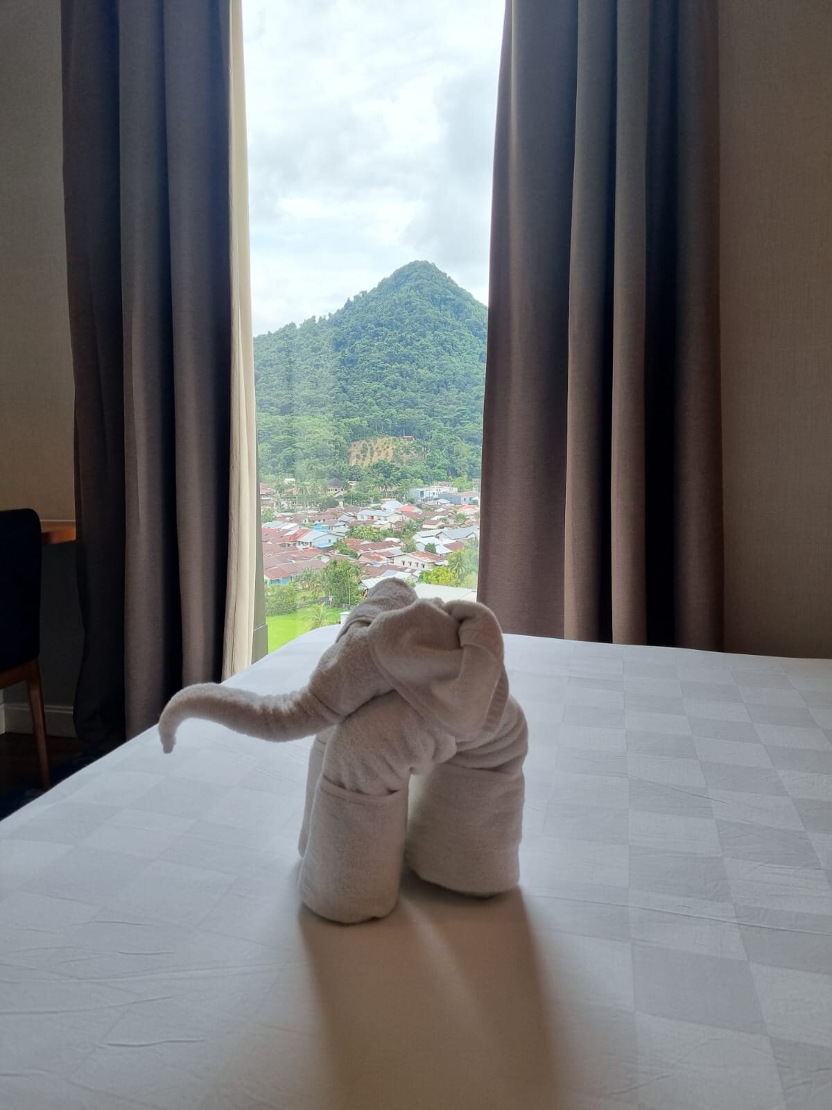 Swiss-Belinn Singkawang-客卧