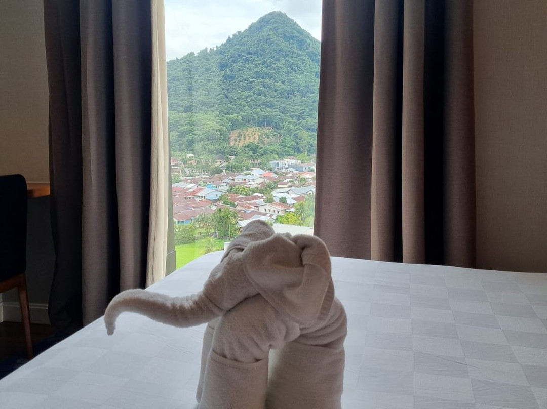 Swiss-Belinn Singkawang主图