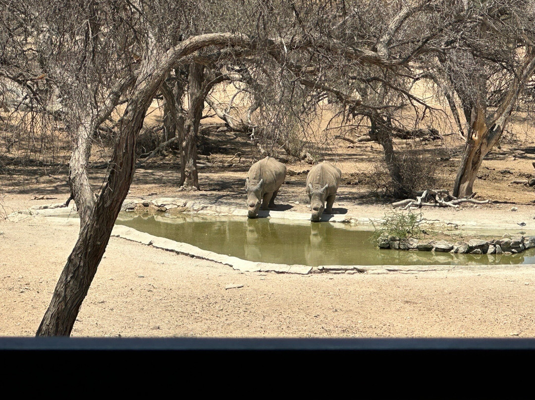 Epako Safari Lodge & Spa主图