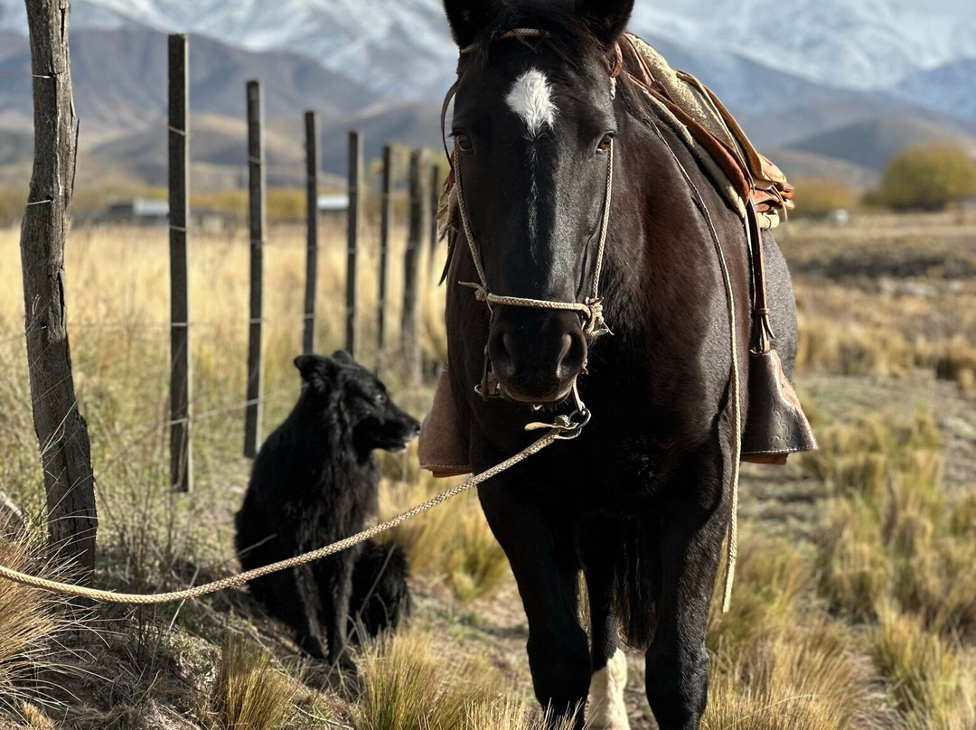 Vivacs Del Plata-Tupungato必去景点