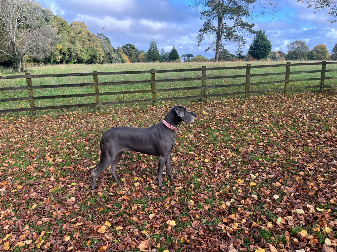 Cirencester Park-赛伦塞斯特必去景点