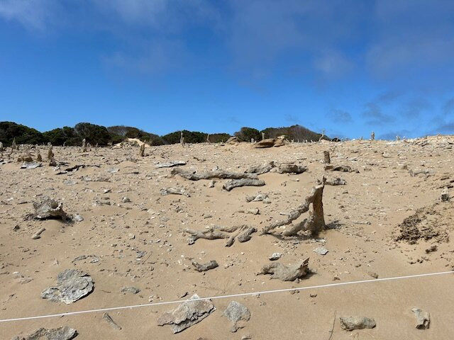 Boomerang by the Sea主图