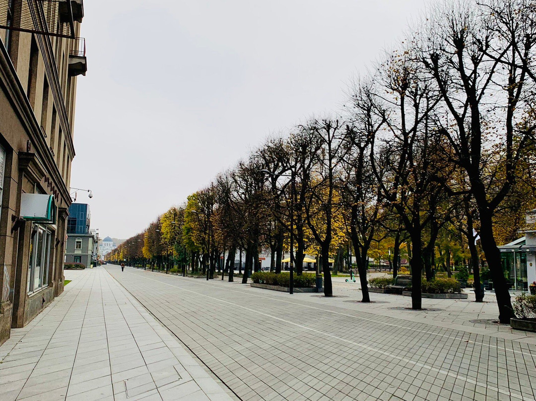 考纳斯城市酒店主图