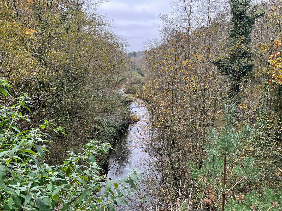 Penllergare Valley Woods景点图片