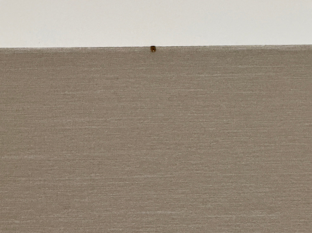 Hampton Inn & Suites By Hilton Nashville North Skyline主图