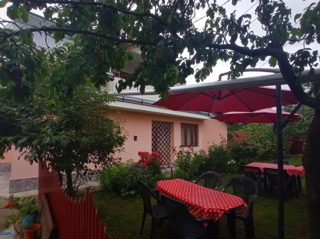 Casa la Agapia