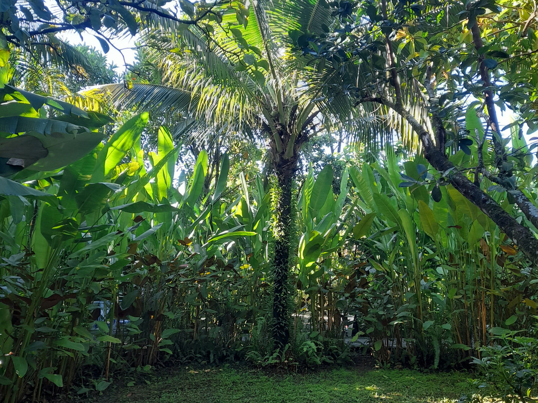 邦萨村酒店主图