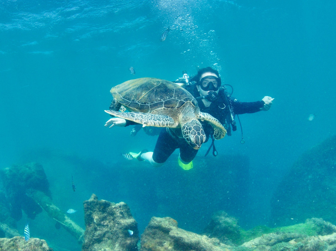 Fernando de Noronha Marine National Park-费尔南多-迪诺罗尼亚群岛必去景点