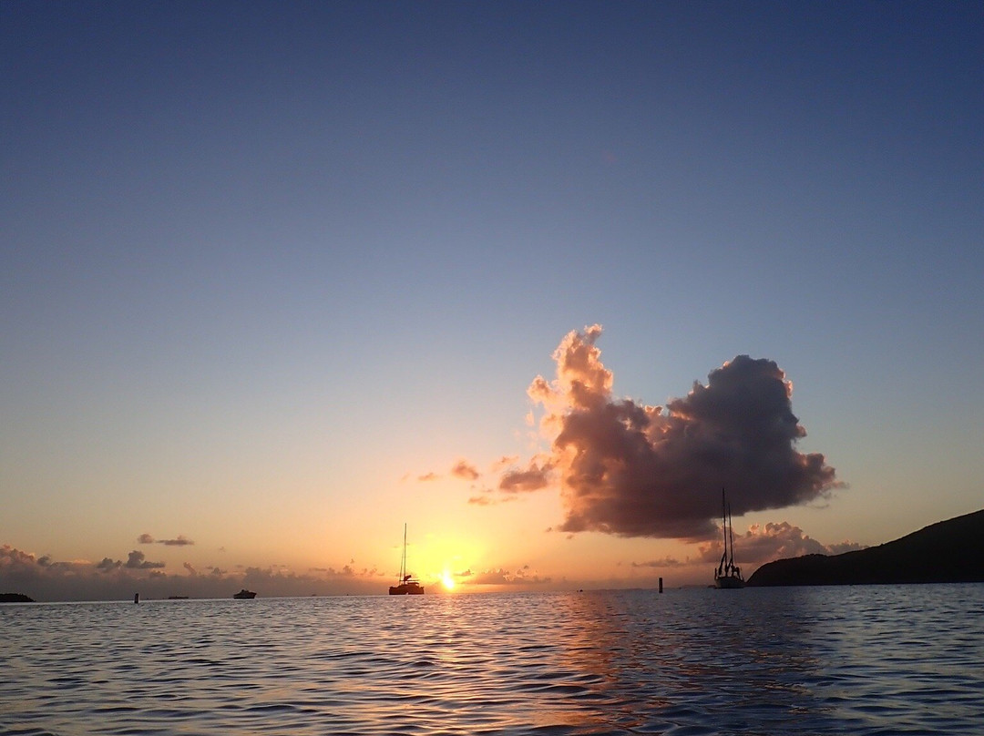 St.Thomas Scuba and Snorkel Adventures-圣 托马斯必去景点