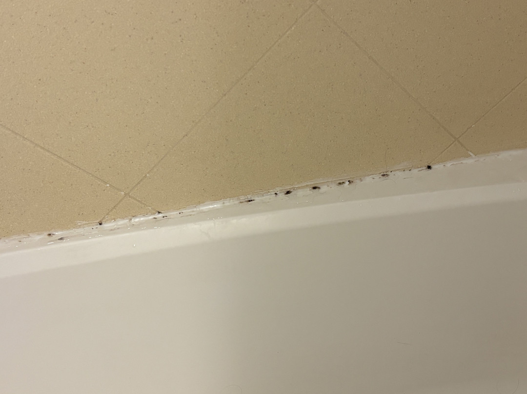 Long Creek Hotel主图