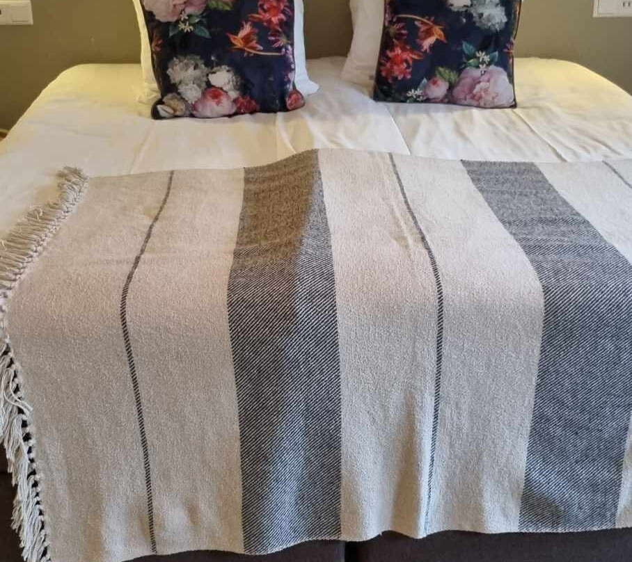 Stadsherberg Alphen Boutique Hotel主图