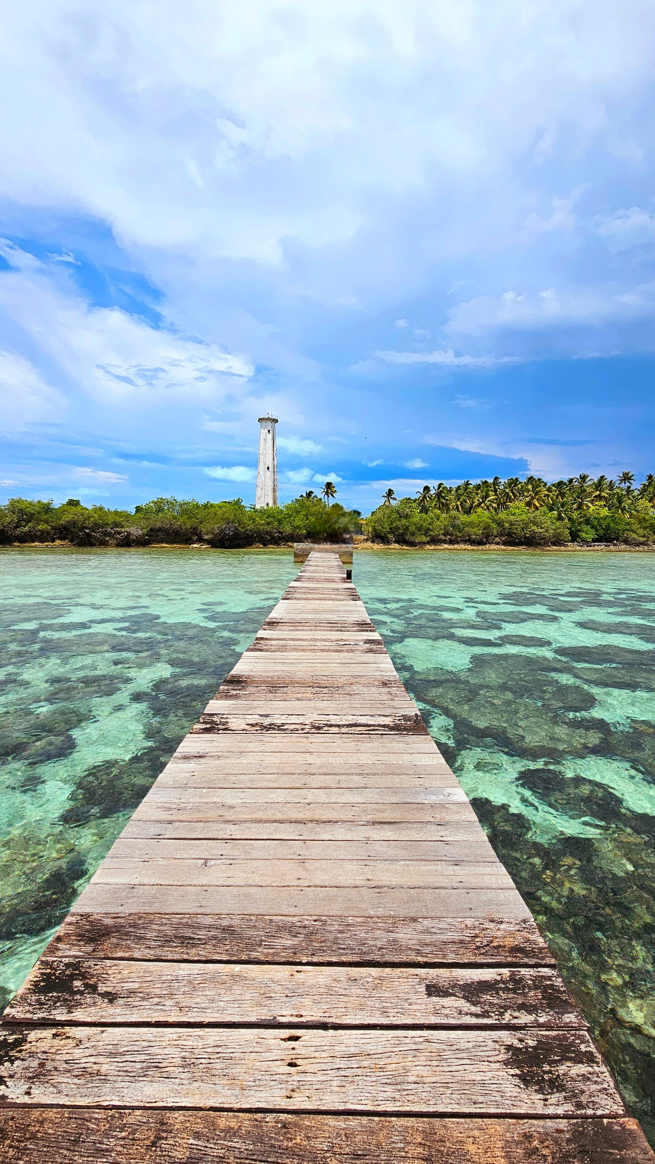 Virgin Cocoa - Tropical Hideaway Island-官方