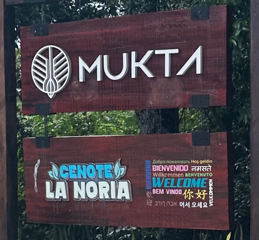 Cenote La Noria-从莫雷洛斯港必去景点