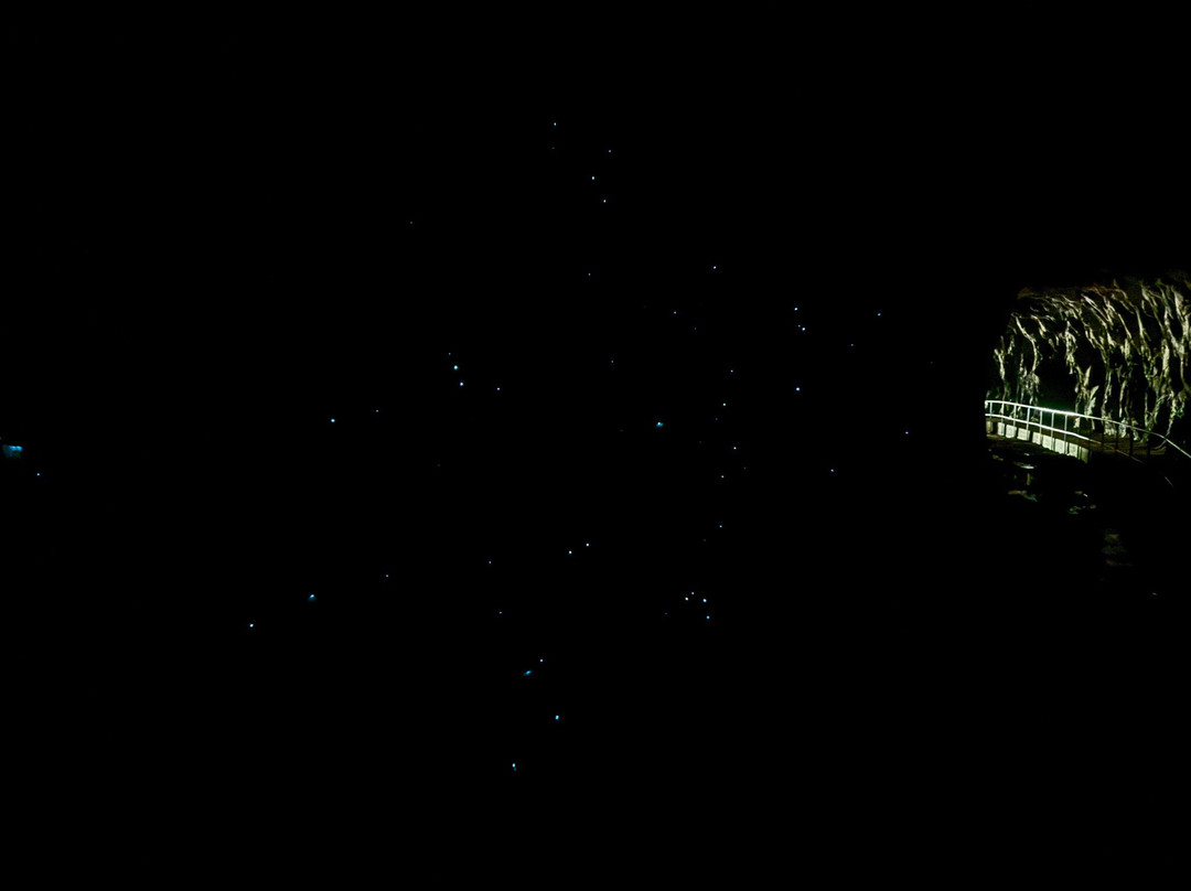 Glow Worm Tunnel-利特高必去景点