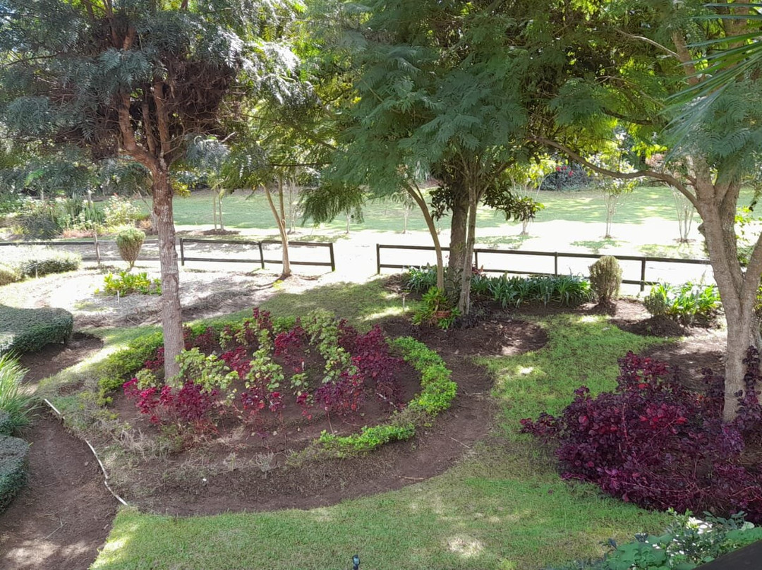 Rancho Constanza主图